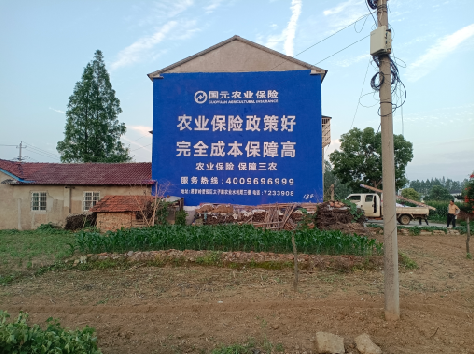 岑溪墙体广告的优劣势你知道吗？